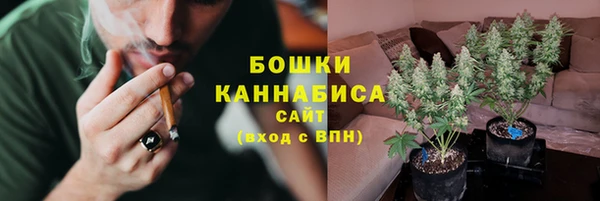 Альфа ПВП Аркадак