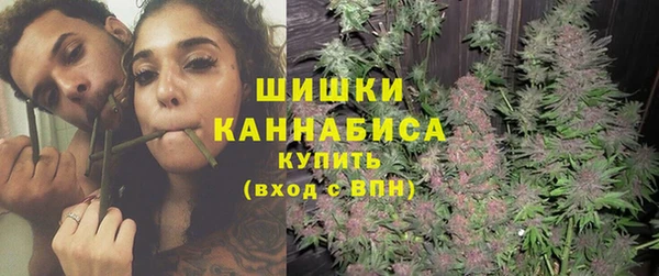 Альфа ПВП Аркадак