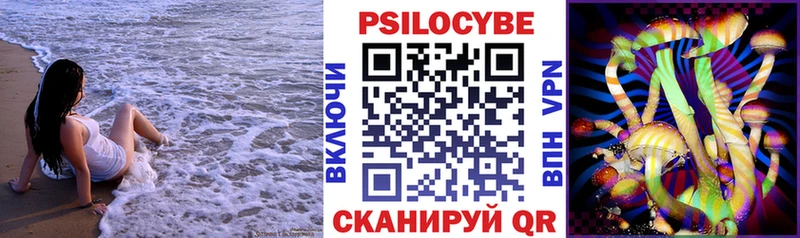 мориарти телеграм  Владивосток  Псилоцибиновые грибы прущие грибы 